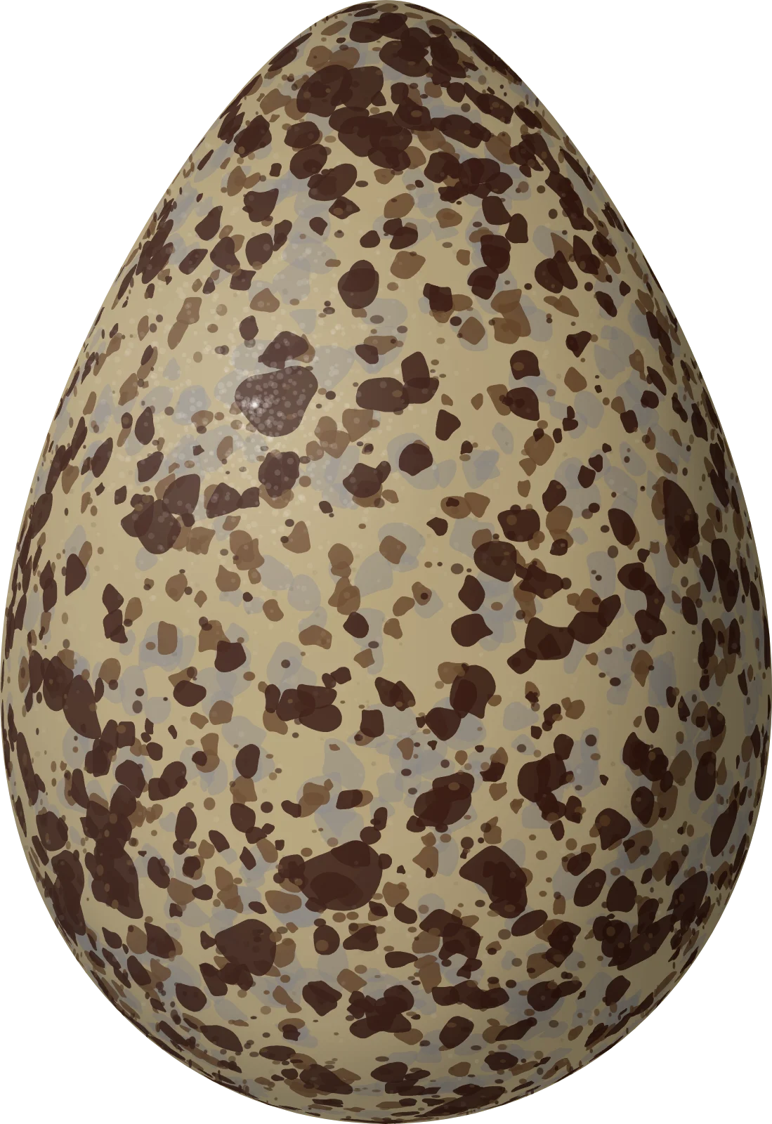 Illustration of a Red Knot (Calidris canutus) egg, 43.1 × 29.6 mm