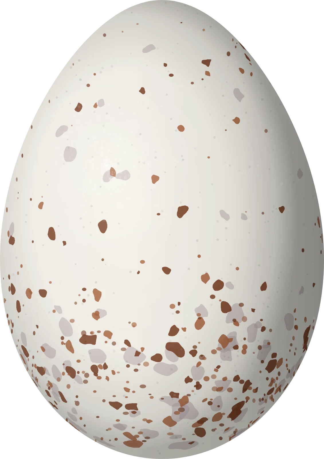 Illustration of a Red-legged Honeycreeper (Cyanerpes cyaneus) egg, 19.1 × 13.5 mm