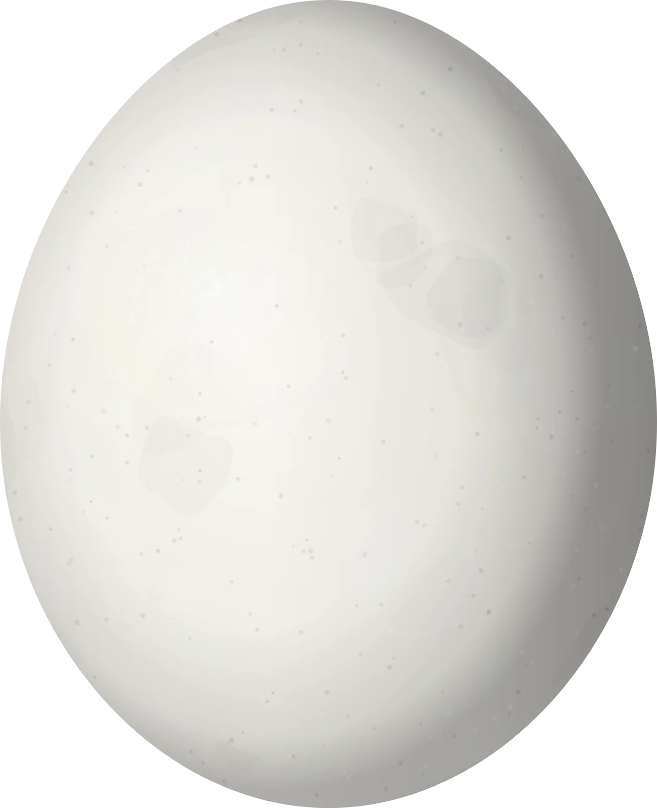 Illustration of a Red-lored Amazon (Amazona autumnalis) egg, 37.5 × 30.5 mm