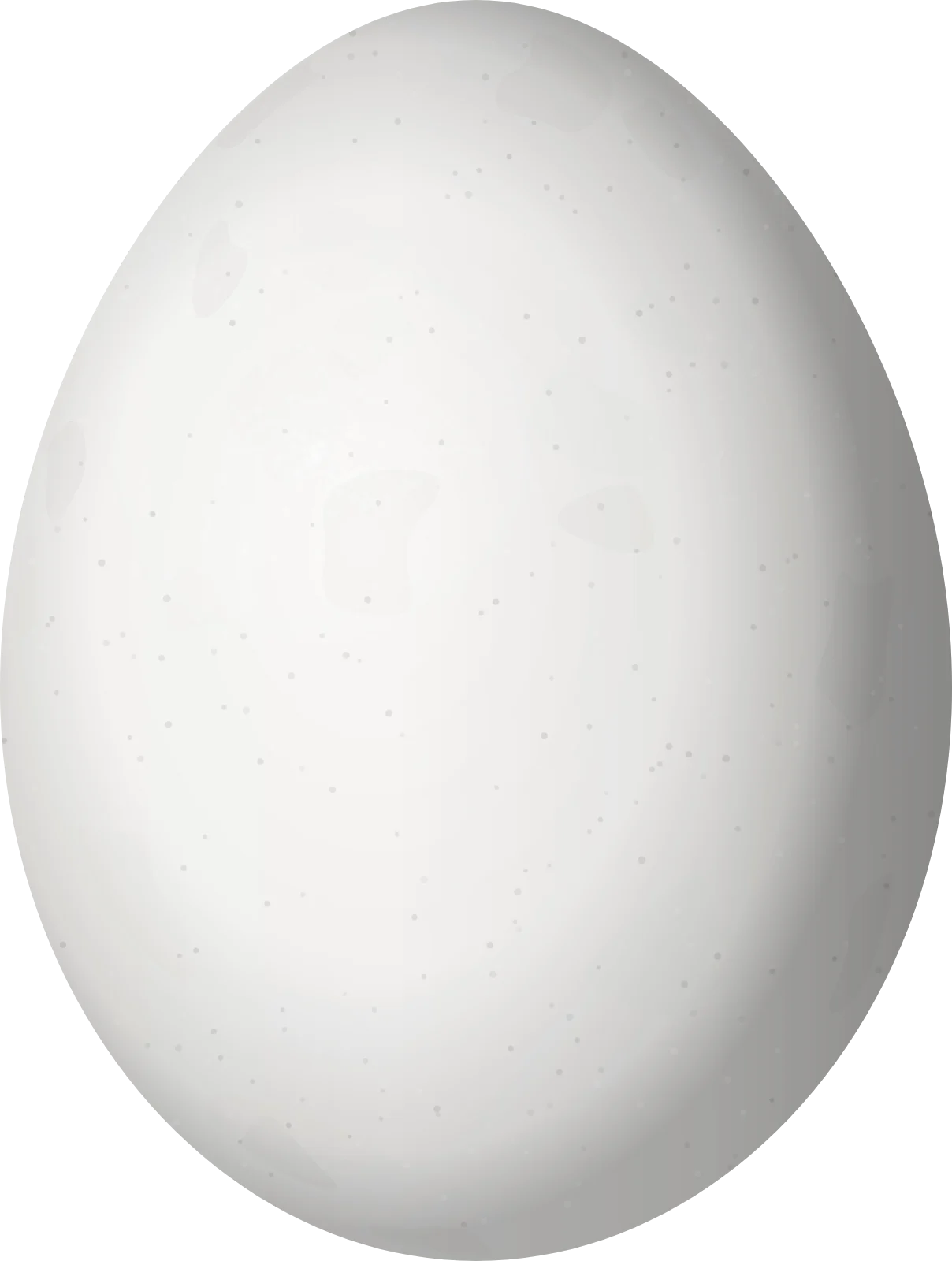 Illustration of a Red-naped Sapsucker (Sphyrapicus nuchalis) egg, 22.89 × 17.28 mm