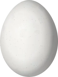 Red-naped Sapsucker egg, 22.89 × 17.28 mm