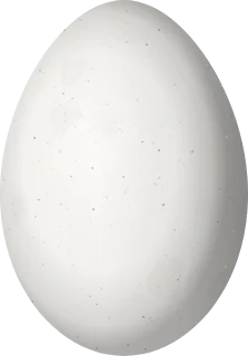 Illustration of a Red-necked Woodpecker (Campephilus rubricollis) egg, 34 × 23.7 mm