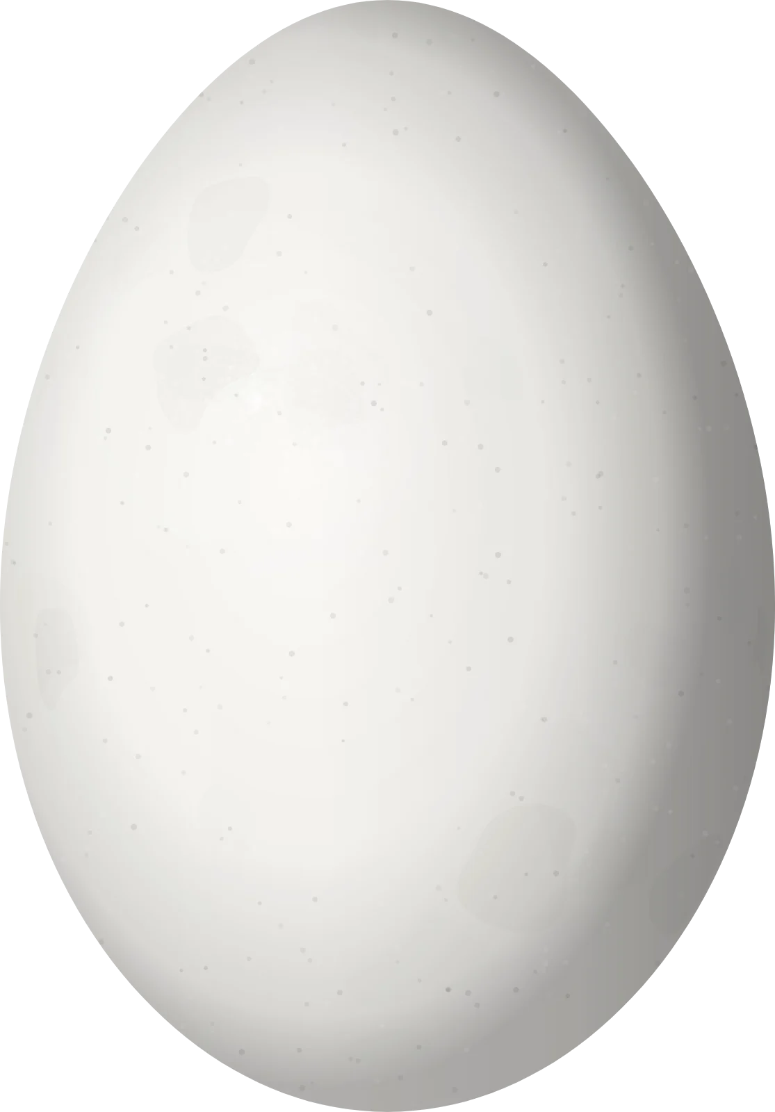 Illustration of a Red-necked Woodpecker (Campephilus rubricollis) egg, 34 × 23.7 mm
