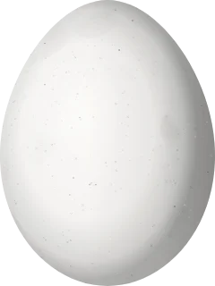 Illustration of a Red-rumped Woodpecker (Veniliornis kirkii) egg, 23.1 × 17.3 mm