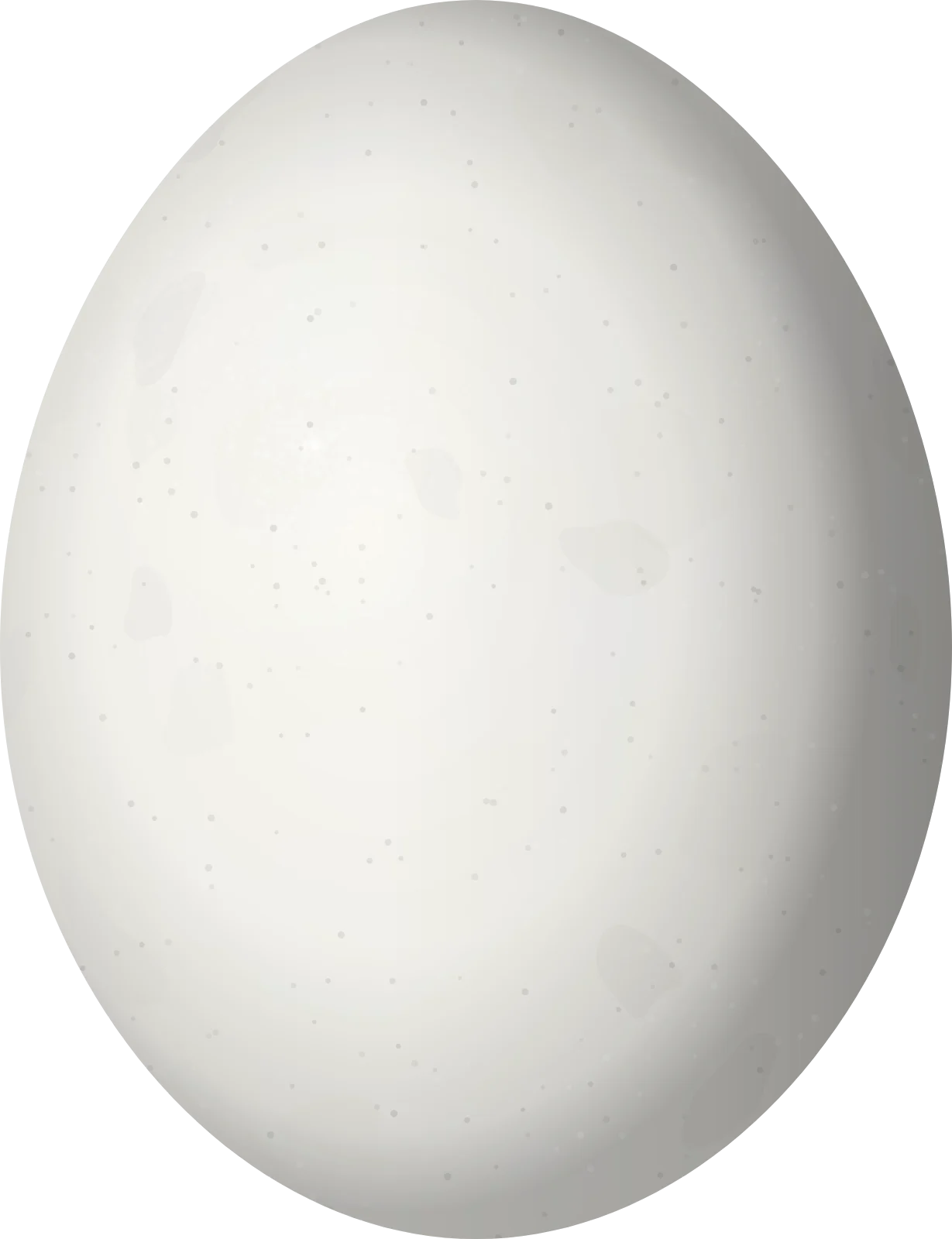 Illustration of a Red-spectacled Amazon (Amazona pretrei) egg, 34.5 × 26.5 mm