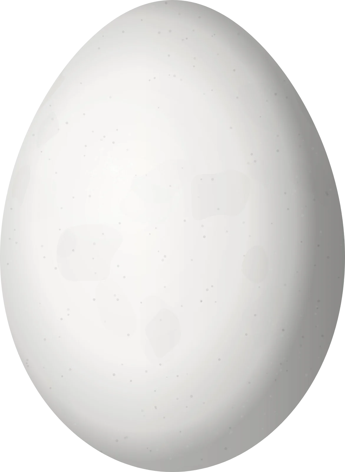 Illustration of a Red-stained Woodpecker (Veniliornis affinis) egg, 22 × 16.1 mm