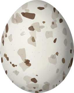Red-tailed Hawk egg, 59 × 47 mm
