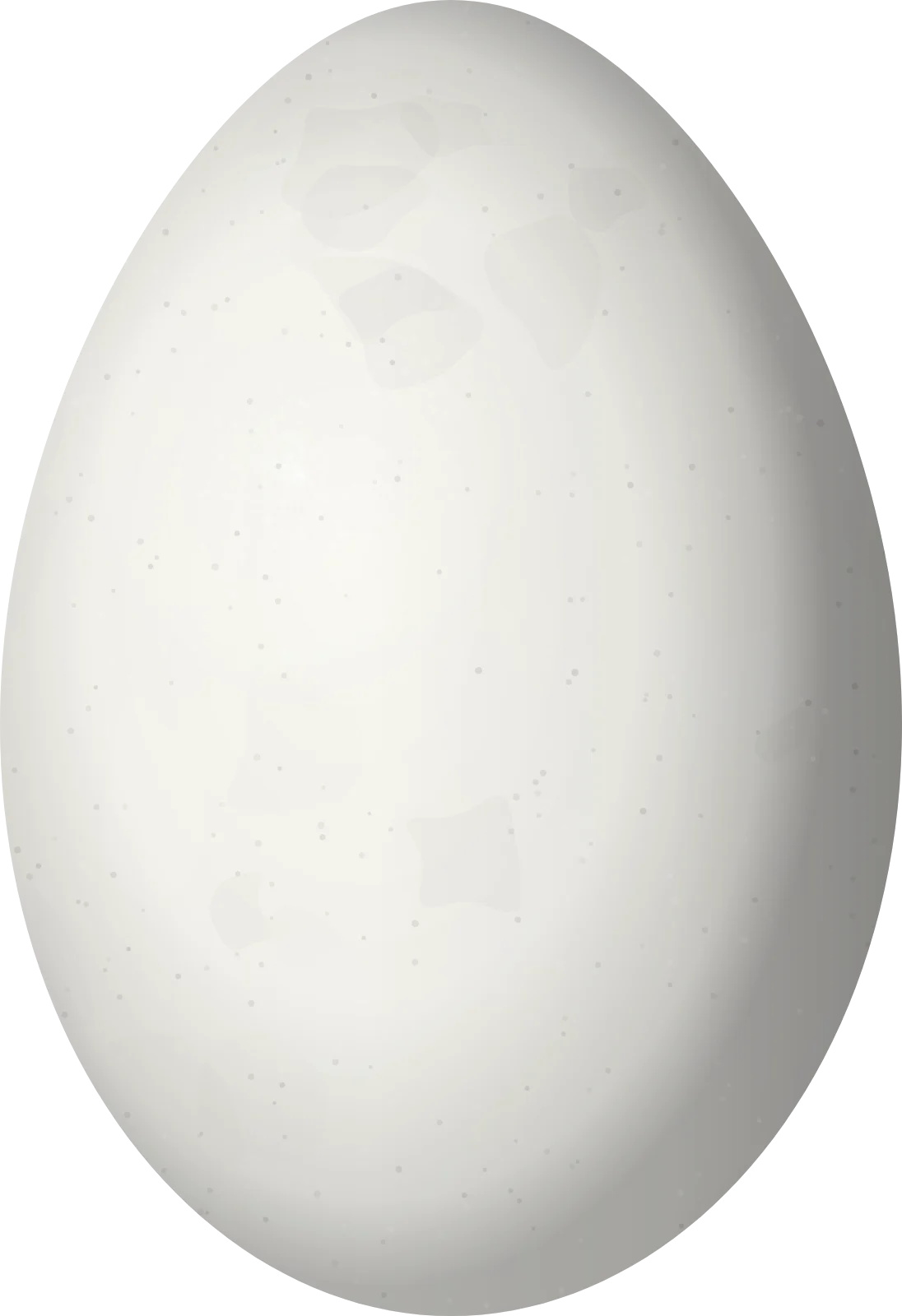 Illustration of a Red-throated Ant Tanager (Driophlox fuscicauda) egg, 25.7 × 17.6 mm