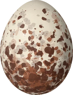 Illustration of a Red-throated Caracara (Ibycter americanus) egg, 56 × 43 mm