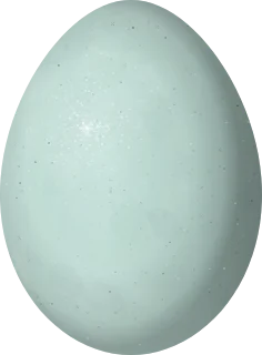 Illustration of a Reddish Egret (Egretta rufescens) egg, 51 × 37.6 mm