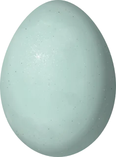 Reddish Egret egg, 51 × 37.6 mm