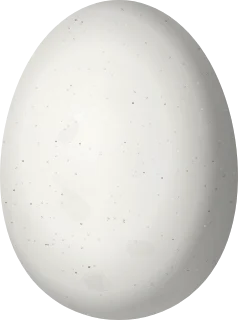 Illustration of a Reddish Hermit (Phaethornis ruber) egg, 11.67 × 8.67 mm
