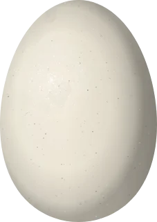 Redhead egg, 61.2 × 43.4 mm
