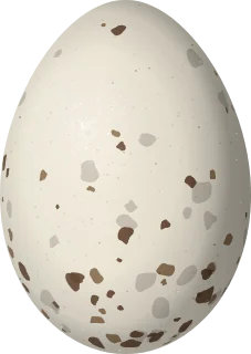 Ridgway's Rail egg, 44.1 × 31.3 mm