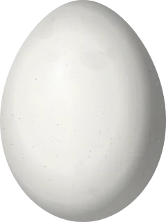 Illustration of a Ringed Woodpecker (Celeus torquatus) egg, 29 × 21.7 mm