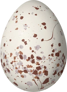 Illustration of a Rio de Janeiro Antwren (Myrmotherula fluminensis) egg, 17.2 × 12.5 mm