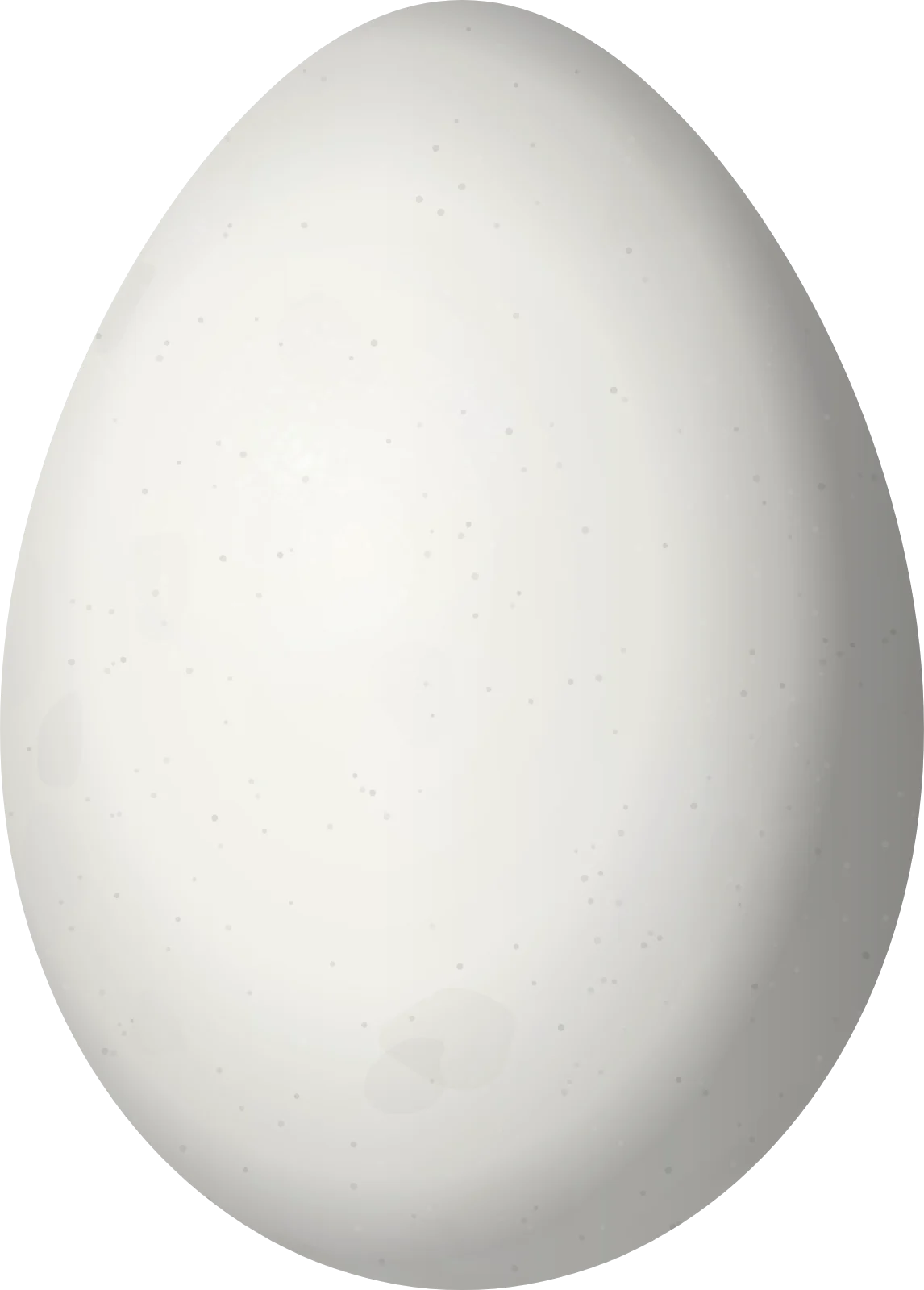 Illustration of a Riverside Wren (Cantorchilus semibadius) egg, 21.5 × 15.4 mm