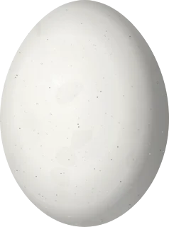 Rock Pigeon egg, 39 × 29 mm