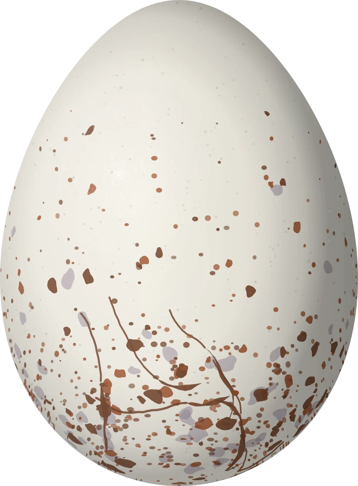Illustration of a Rondonia Bushbird (Clytoctantes atrogularis) egg, 22 × 16.2 mm