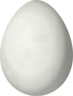 Illustration of a Roraiman Barbtail (Roraimia adusta) egg, 20.9 × 15.9 mm