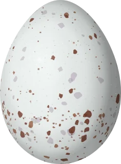 Illustration of a Rose-bellied Bunting (Passerina rositae) egg, 20.3 × 15 mm