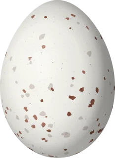 Rose-throated Becard egg, 23.2 × 16.9 mm