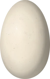 Ross's Goose egg, 74 × 47 mm