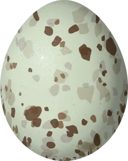 Rough-legged Hawk egg, 56.6 × 44.9 mm