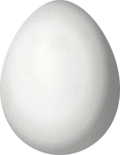 Illustration of a Royal Cinclodes (Cinclodes aricomae) egg, 26.1 × 20.2 mm