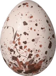 Illustration of a Ruby-crowned Tanager (Tachyphonus coronatus) egg, 23.6 × 17.5 mm