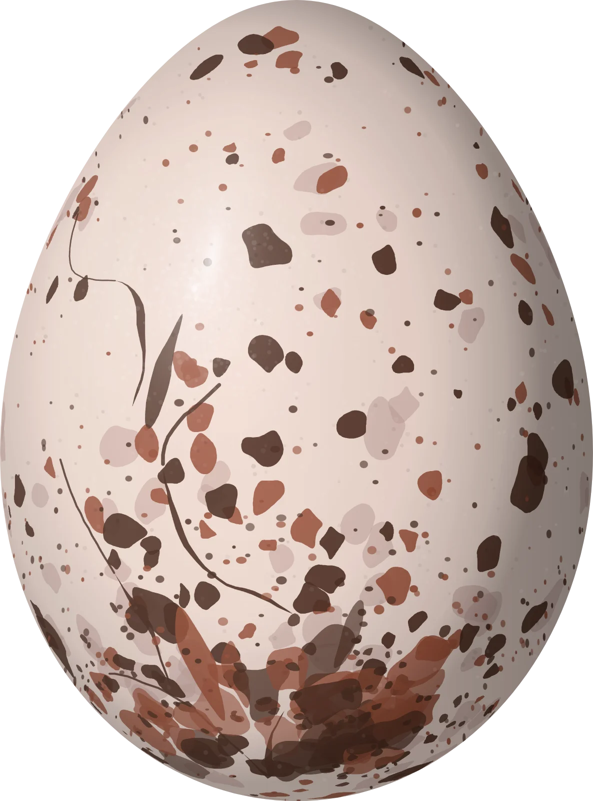 Illustration of a Ruby-crowned Tanager (Tachyphonus coronatus) egg, 23.6 × 17.5 mm