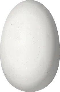 Illustration of a Ruby-throated Hummingbird (Archilochus colubris) egg, 12.9 × 8.5 mm