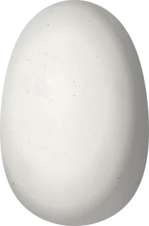 Ruby-throated Hummingbird egg, 12.9 × 8.5 mm