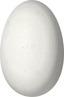 Illustration of a Ruby-topaz Hummingbird (Chrysolampis mosquitus) egg, 14.9 × 9.8 mm