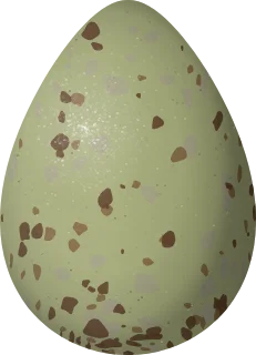 Ruddy Turnstone egg, 40.5 × 29.2 mm