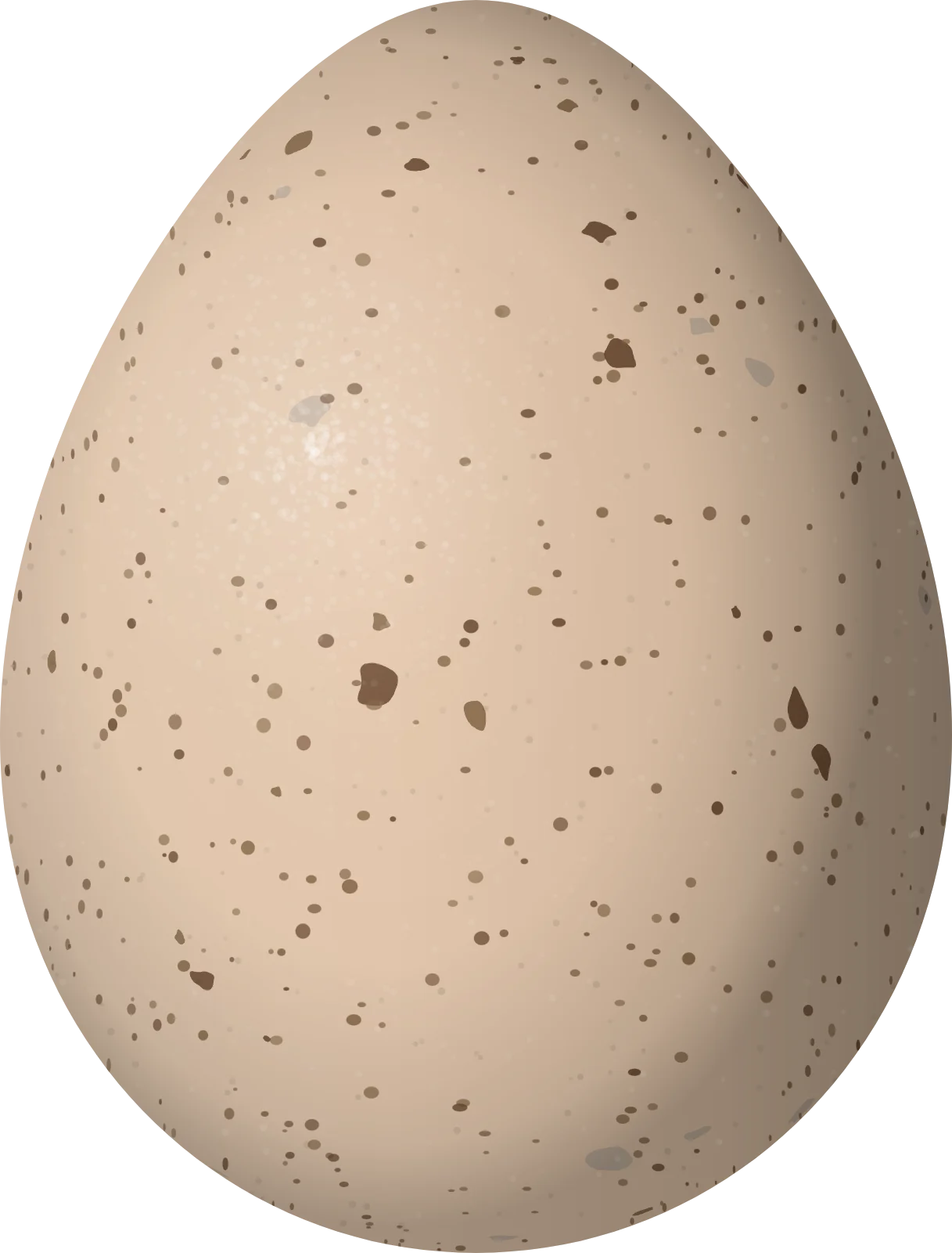 Illustration of a Ruffed Grouse (Bonasa umbellus) egg, 38.9 × 29.6 mm