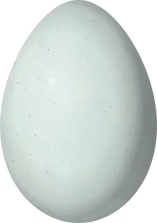 Illustration of a Rufous-and-white Wren (Thryophilus rufalbus) egg, 22 × 15.5 mm