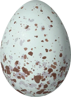 Illustration of a Rufous-backed Inca Finch (Incaspiza personata) egg, 20.5 × 15 mm