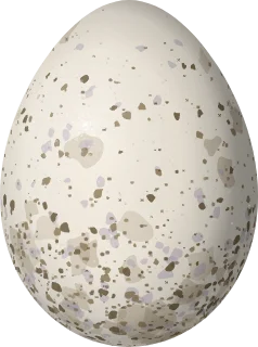 Illustration of a Rufous-backed Wren (Campylorhynchus capistratus) egg, 21.8 × 16.2 mm