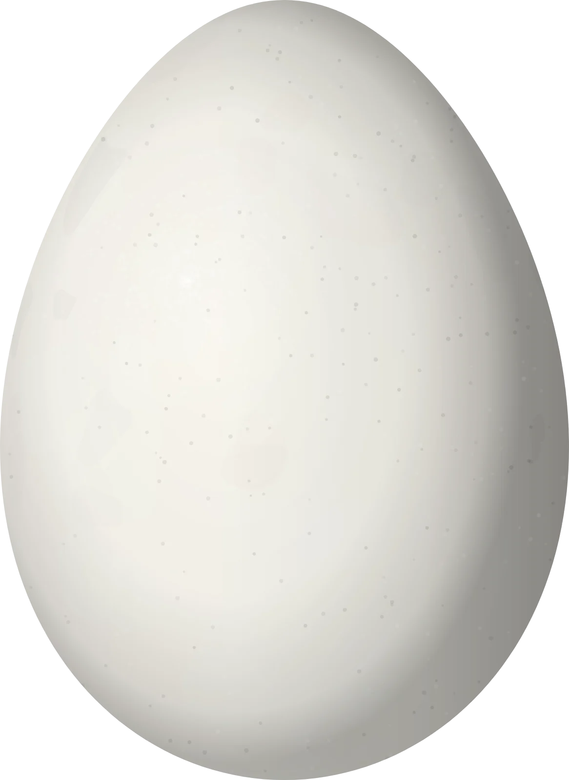Illustration of a Rufous-banded Miner (Geositta rufipennis) egg, 26.2 × 19.1 mm