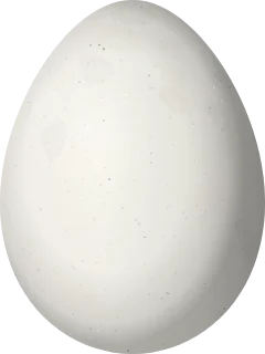 Illustration of a Rufous-breasted Leaftosser (Sclerurus scansor) egg, 28 × 21 mm