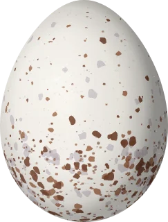 Illustration of a Rufous-breasted Wren (Pheugopedius rutilus) egg, 18.2 × 13.8 mm