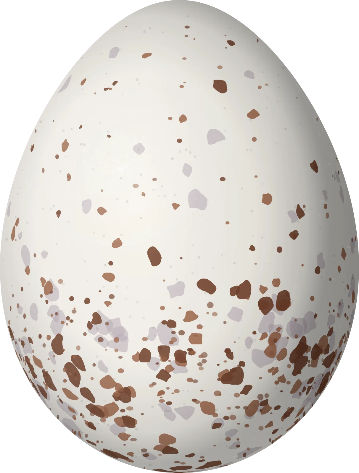 Illustration of a Rufous-breasted Wren (Pheugopedius rutilus) egg, 18.2 × 13.8 mm