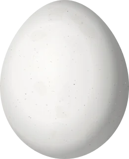 Illustration of a Rufous-capped Motmot (Baryphthengus ruficapillus) egg, 40.5 × 33 mm