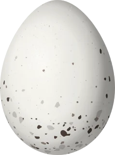 Illustration of a Rufous-chested Tanager (Thlypopsis ornata) egg, 19.5 × 14.5 mm