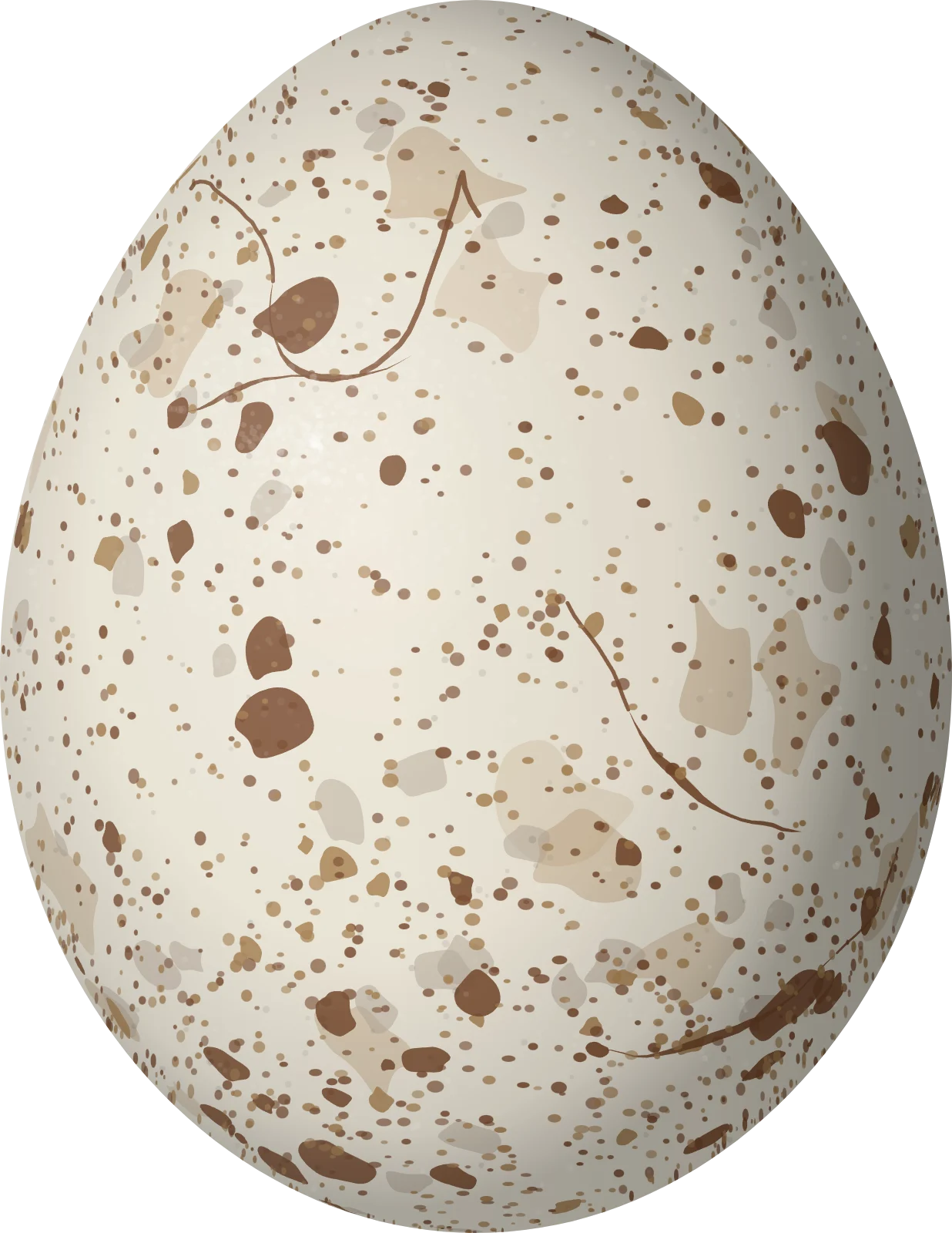 Illustration of a Rufous Crab Hawk (Buteogallus aequinoctialis) egg, 56.7 × 43.8 mm