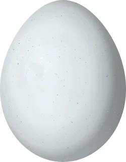 Rufous-crowned Sparrow egg, 20 × 15.6 mm