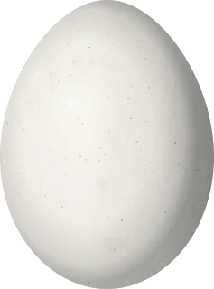 Illustration of a Rufous-faced Crake (Rufirallus xenopterus) egg, 33 × 24.4 mm