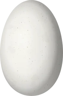 Illustration of a Rufous-gaped Hillstar (Urochroa bougueri) egg, 13.5 × 8.9 mm