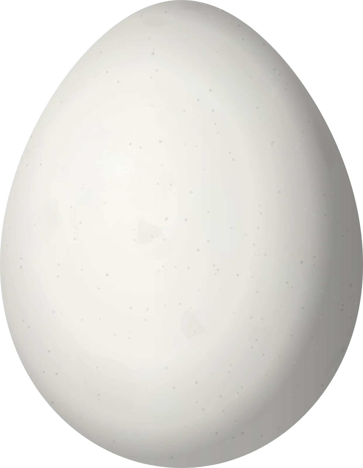 Illustration of a Rufous-headed Pygmy Tyrant (Pseudotriccus ruficeps) egg, 18.83 × 14.6 mm